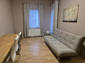 Przytulna kawalerka w Centrum Poznania
